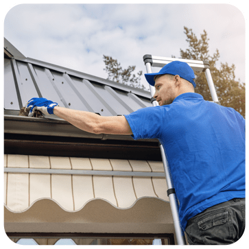 Exterior Maintenance