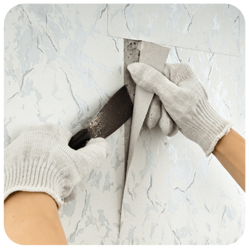 Wallpaper Removal