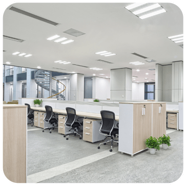 Commercial Renovation